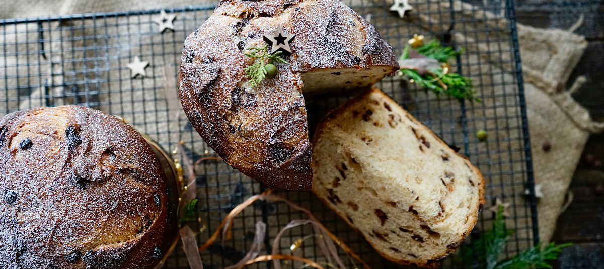 Schokoladen Panettone